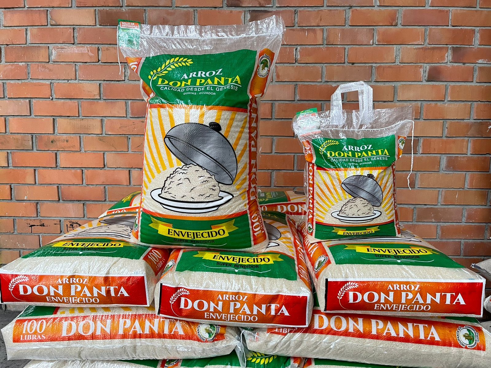 Quintal de Arroz Panta